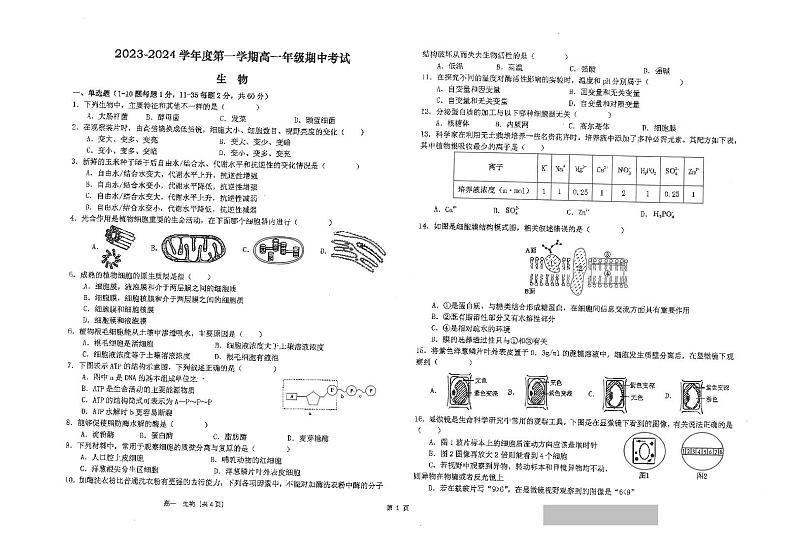 江苏省海安高级中学2023-2024学年高一上学期期中考试生物试题01