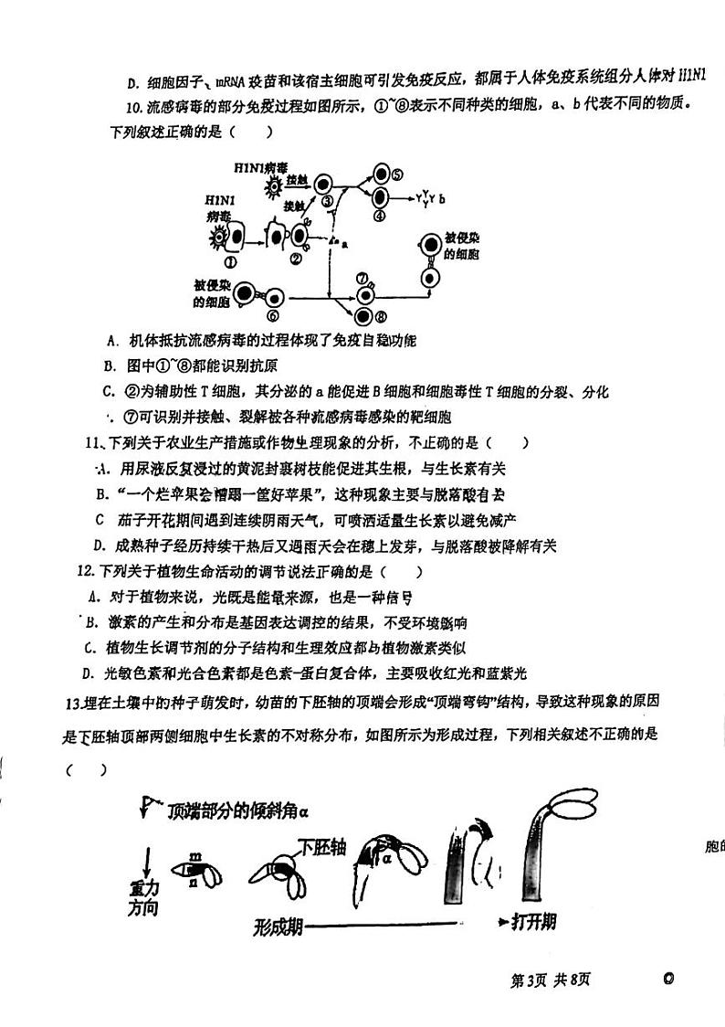 广东省东莞市万江中学，石龙中学，常平中学三校2023-2024学年高二上学期11月期中联考生物试题03