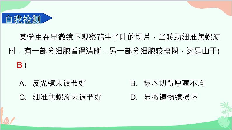 生物人教版(2019)必修1 1.2 细胞的多样性和统一性课件07