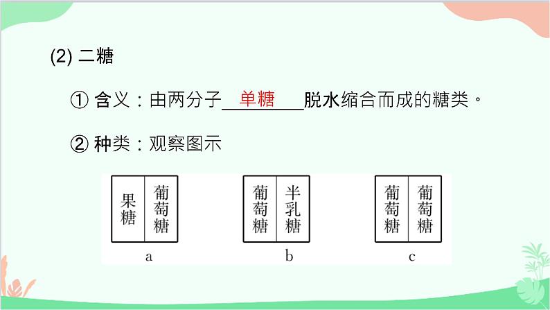 生物人教版(2019)必修1 2.3 细胞中的糖类和脂质 课件第7页