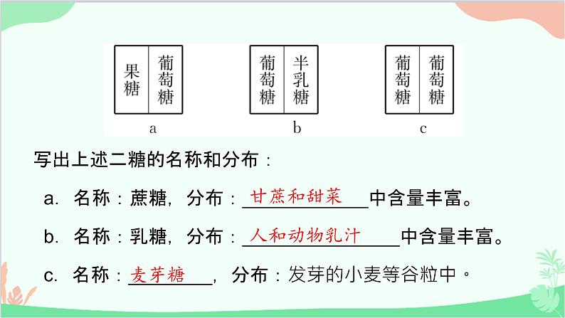 生物人教版(2019)必修1 2.3 细胞中的糖类和脂质 课件第8页