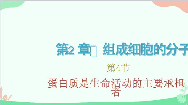 生物人教版(2019)必修1 2.4 蛋白质是生命活动的主要承担者课件第1页