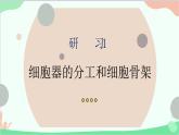 生物人教版(2019)必修1 3.2.1 细胞器之间的分工合作 课件