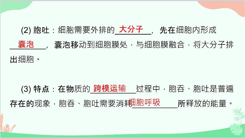 生物人教版(2019)必修1 4.2 主动运输与胞吞、胞吐 课件第8页