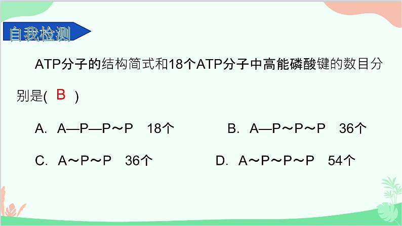 生物人教版(2019)必修1 5.2 细胞的能量“货币”ATP 课件07