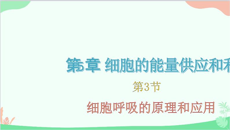 生物人教版(2019)必修1 5.3 细胞呼吸的原理和应用 课件第1页