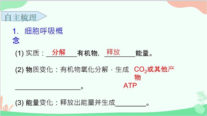 生物人教版(2019)必修1 5.3 细胞呼吸的原理和应用 课件第5页