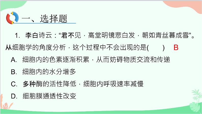 生物人教版(2019)必修1 6.3细胞的衰老和死亡课件第2页