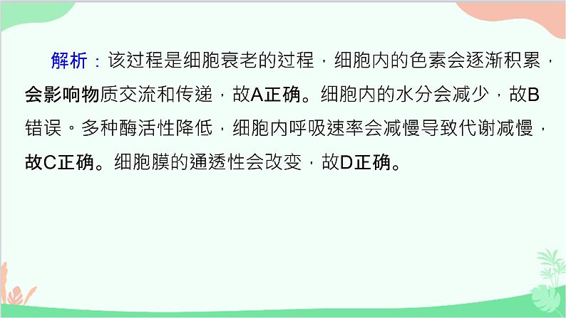 生物人教版(2019)必修1 6.3细胞的衰老和死亡课件第3页