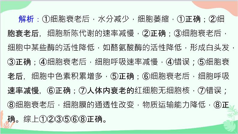 生物人教版(2019)必修1 6.3细胞的衰老和死亡课件第7页