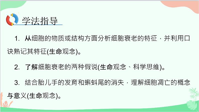 生物人教版(2019)必修1 第6章 细胞的生命历程 第3节细胞的衰老和死亡课件03