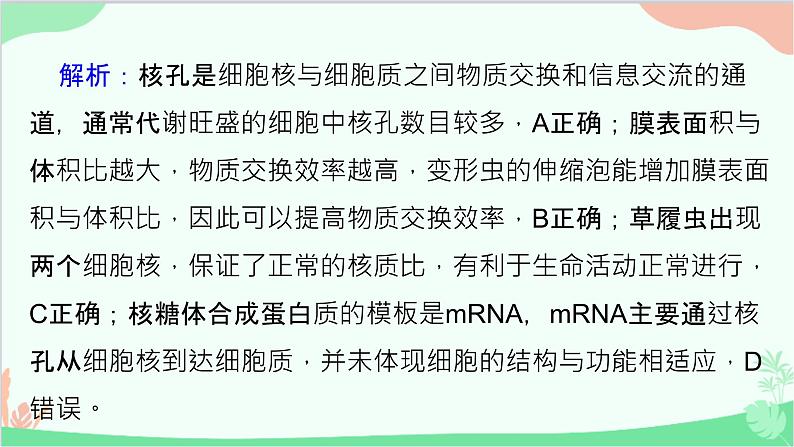 生物人教版(2019)必修1 3.3细胞核的结构和功能课件第7页