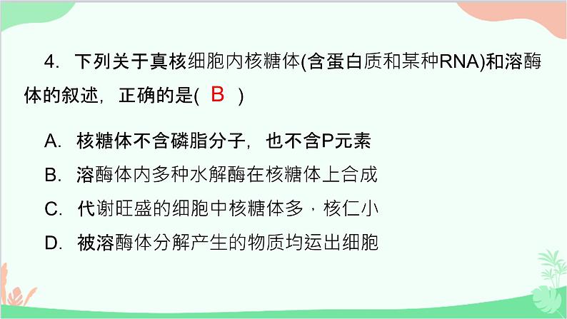 生物人教版(2019)必修1 第3章课件第7页