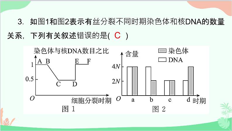 生物人教版(2019)必修1 6.1、2细胞的增殖　细胞的分化课件第5页