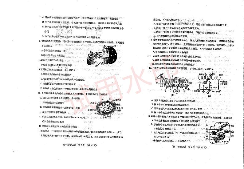 山东省泰安肥城市2023-2024学年上学期高一期中考试生物试题_看图王_加水印第2页