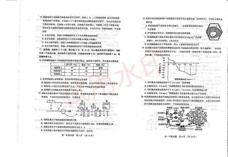 山东省泰安肥城市2023-2024学年上学期高一期中考试生物试题_看图王_加水印第3页