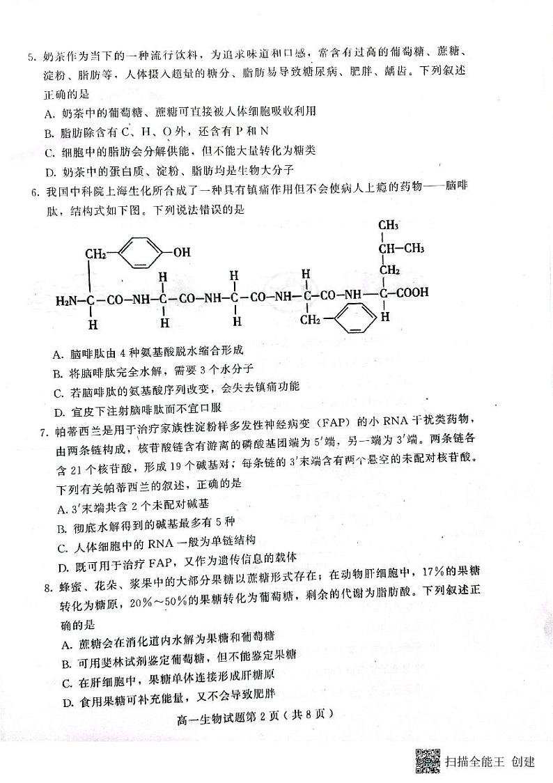 山东省潍坊市2023-2024学年高一上学期11月期中生物试题02