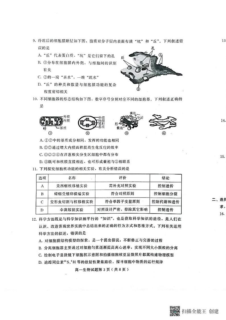 山东省潍坊市2023-2024学年高一上学期11月期中生物试题03