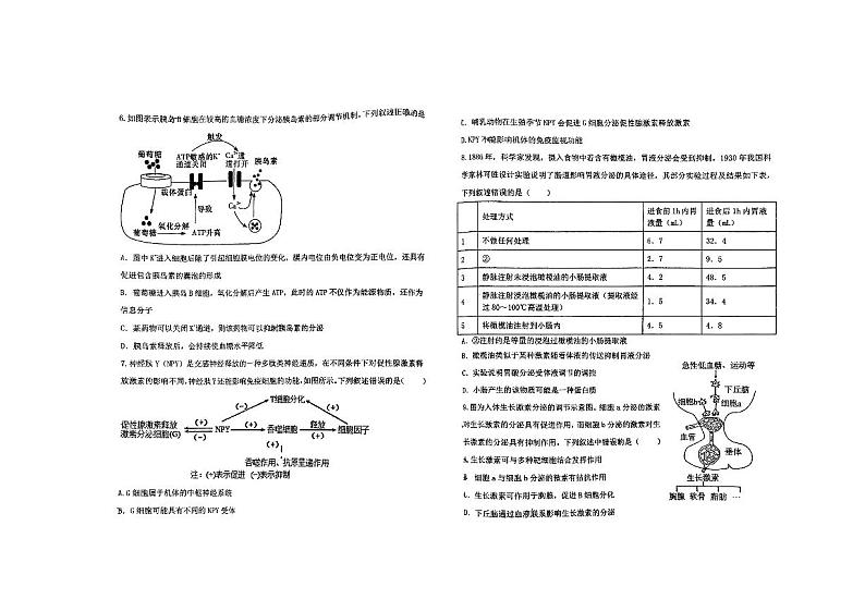 山东省青岛市第58中学2023-2024学年高二上学期期中生物试卷02