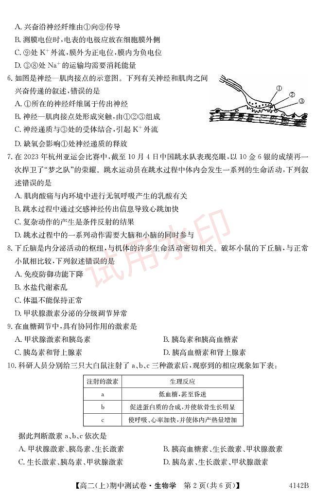 吉林省长春市第二实验中学2023-2024学年高二上学期期中考试生物试题第2页