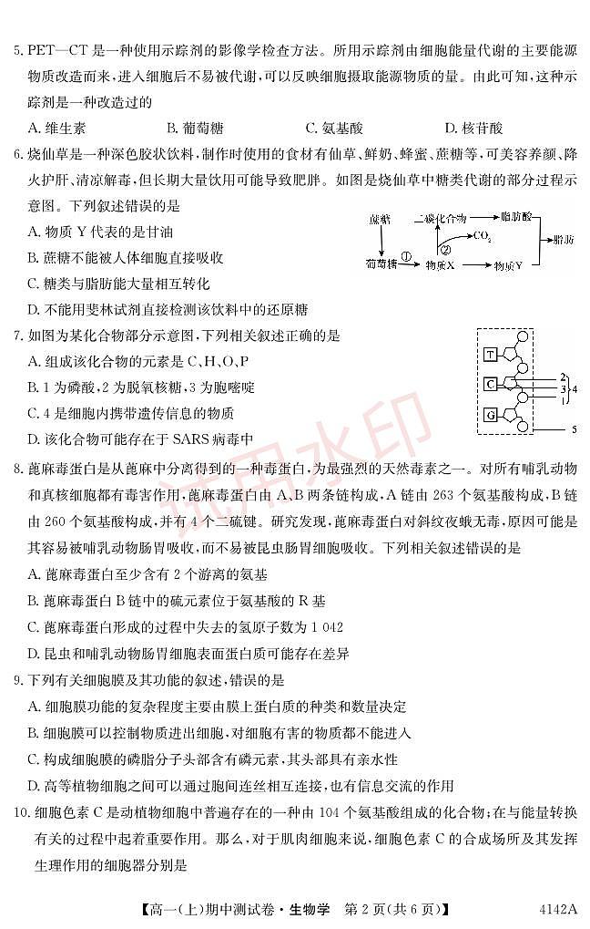 吉林省长春市第二实验中学2023-2024学年高一上学期期中考试生物试题第2页