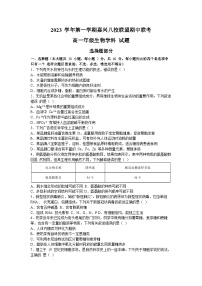 浙江省嘉兴市八校联盟2023-2024学年高一上学期期中联考生物试题（Word版附答案）