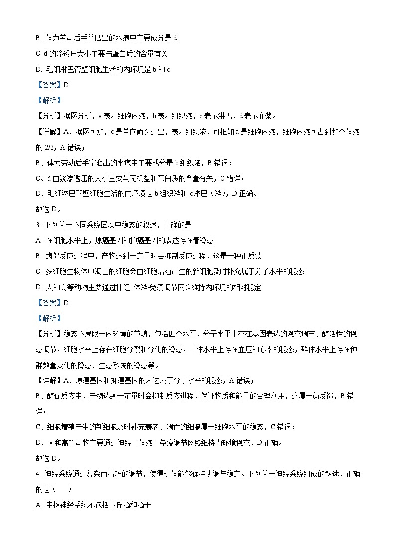 重庆市荣昌中学2023-2024学年高二上学期期中生物试题（Word版附解析）02