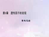新教材适用2023_2024学年高中生物第1章遗传因子的发现章末总结课件新人教版必修2