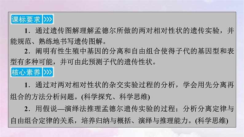 新教材适用2023_2024学年高中生物第1章遗传因子的发现第2节孟德尔的豌豆杂交实验二第1课时孟德尔两对相对性状的杂交实验过程解释和验证课件新人教版必修2第3页