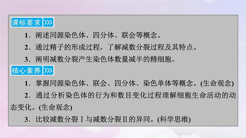 新教材适用2023_2024学年高中生物第2章基因和染色体的关系第1节减数分裂和受精作用第1课时精子的形成过程课件新人教版必修2第3页