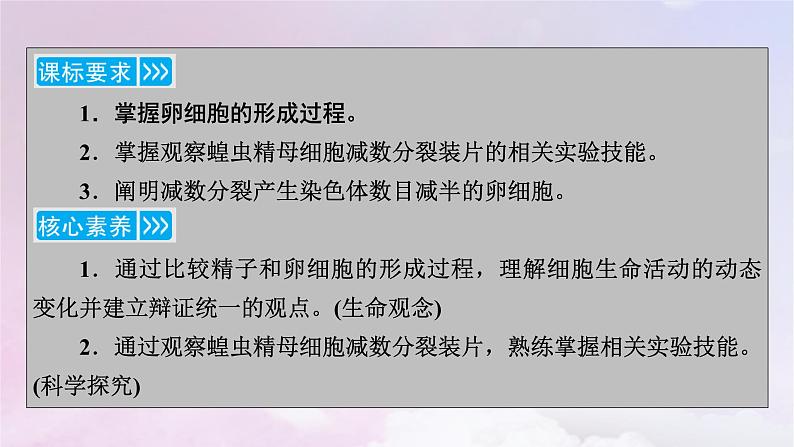 新教材适用2023_2024学年高中生物第2章基因和染色体的关系第1节减数分裂和受精作用第2课时卵细胞的形成过程减数分裂过程中染色体与核DNA等数目变化规律课件新人教版必修2第3页