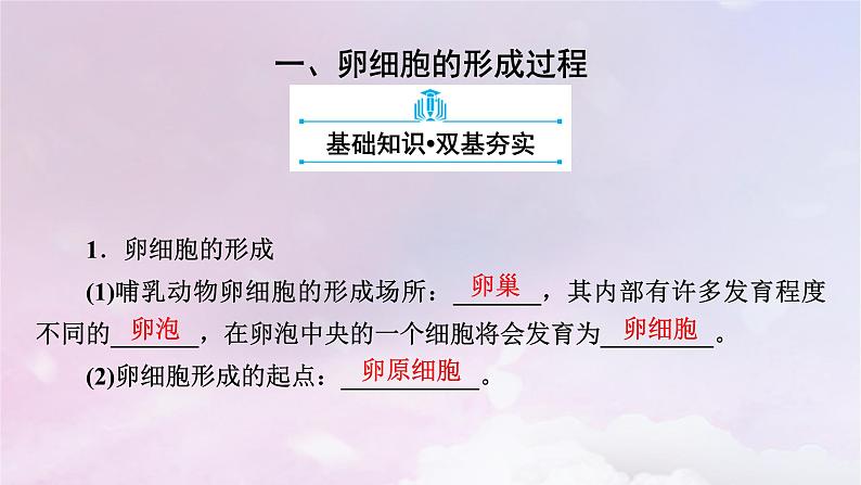 新教材适用2023_2024学年高中生物第2章基因和染色体的关系第1节减数分裂和受精作用第2课时卵细胞的形成过程减数分裂过程中染色体与核DNA等数目变化规律课件新人教版必修2第5页