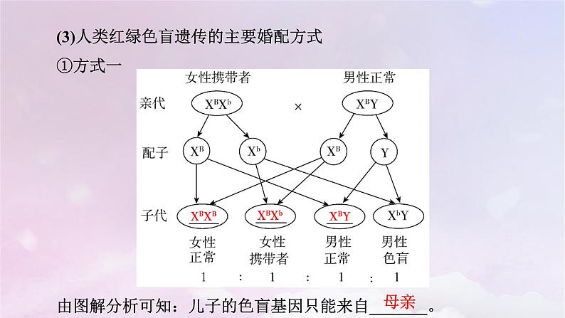 新教材适用2023_2024学年高中生物第2章基因和染色体的关系第3节伴性遗传课件新人教版必修207