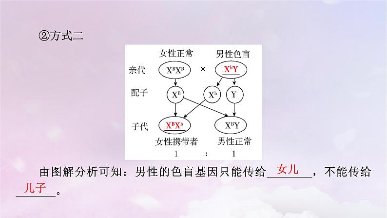 新教材适用2023_2024学年高中生物第2章基因和染色体的关系第3节伴性遗传课件新人教版必修208