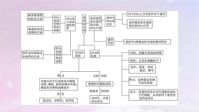 新教材适用2023_2024学年高中生物第3章基因的本质章末总结课件新人教版必修204