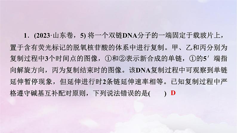 新教材适用2023_2024学年高中生物第3章基因的本质章末总结课件新人教版必修206