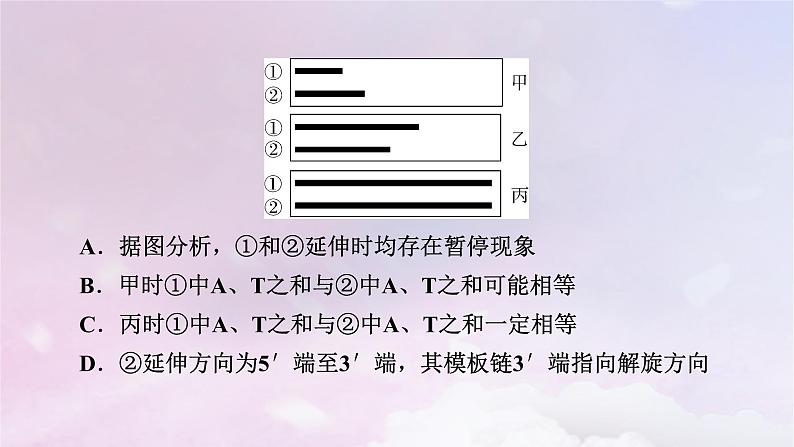 新教材适用2023_2024学年高中生物第3章基因的本质章末总结课件新人教版必修207