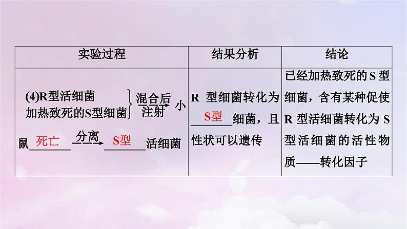 新教材适用2023_2024学年高中生物第3章基因的本质第1节DNA是主要的遗传物质课件新人教版必修2第8页