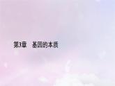 新教材适用2023_2024学年高中生物第3章基因的本质第2节DNA的结构课件新人教版必修2