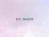 新教材适用2023_2024学年高中生物第3章基因的本质第2节DNA的结构课件新人教版必修2