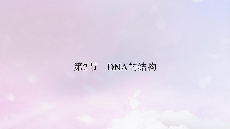 新教材适用2023_2024学年高中生物第3章基因的本质第2节DNA的结构课件新人教版必修2第2页