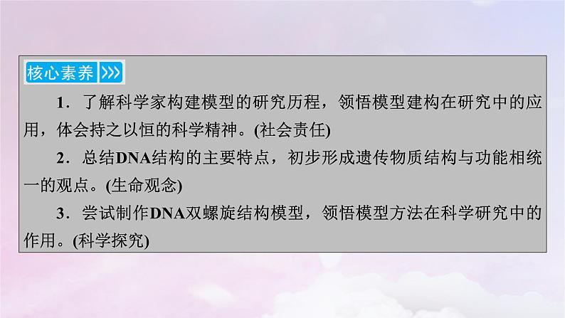 新教材适用2023_2024学年高中生物第3章基因的本质第2节DNA的结构课件新人教版必修2第4页