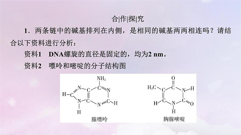 新教材适用2023_2024学年高中生物第3章基因的本质第2节DNA的结构课件新人教版必修2第8页