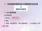 新教材适用2023_2024学年高中生物第3章基因的本质第3节DNA的复制课件新人教版必修2