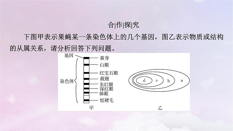 新教材适用2023_2024学年高中生物第3章基因的本质第4节基因通常是有遗传效应的DNA片段课件新人教版必修207