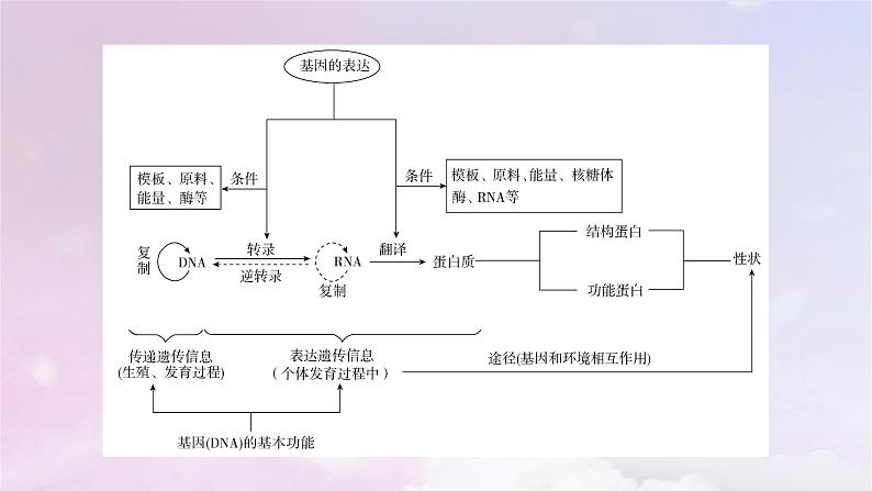 新教材适用2023_2024学年高中生物第4章基因的表达章末总结课件新人教版必修204