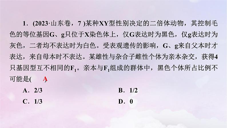 新教材适用2023_2024学年高中生物第4章基因的表达章末总结课件新人教版必修206