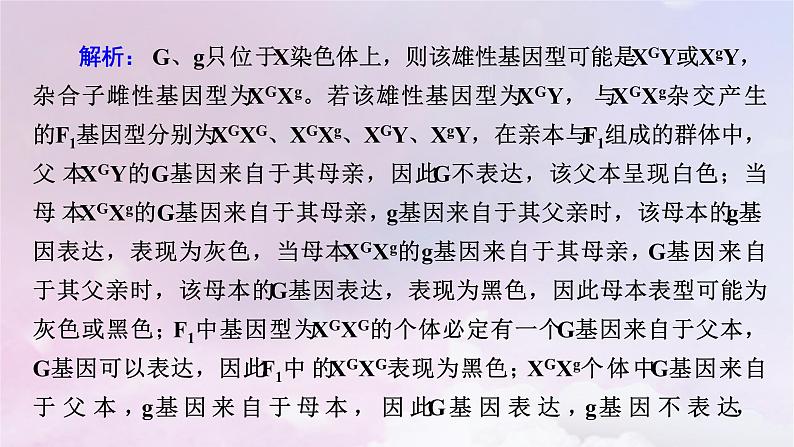 新教材适用2023_2024学年高中生物第4章基因的表达章末总结课件新人教版必修207