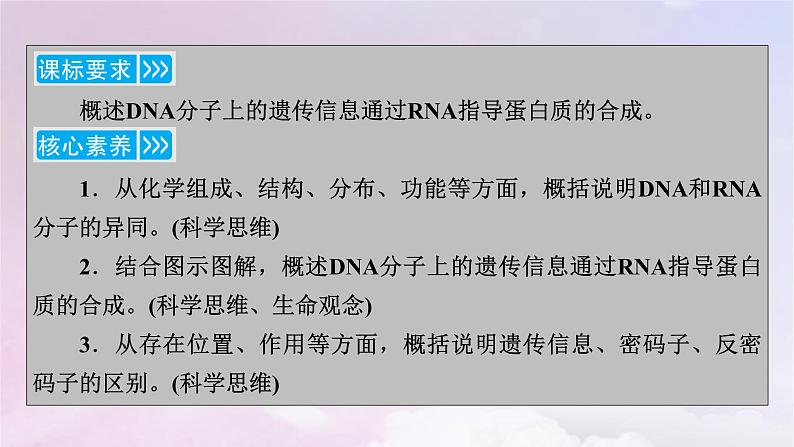 新教材适用2023_2024学年高中生物第4章基因的表达第1节基因指导蛋白质的合成课件新人教版必修203