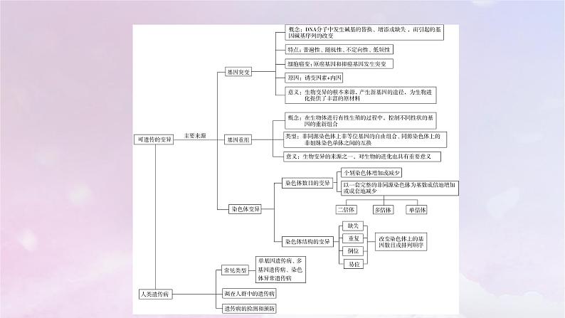 新教材适用2023_2024学年高中生物第5章基因突变及其他变异章末总结课件新人教版必修2第4页